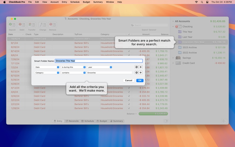 CheckBook Pro 3 Screenshot