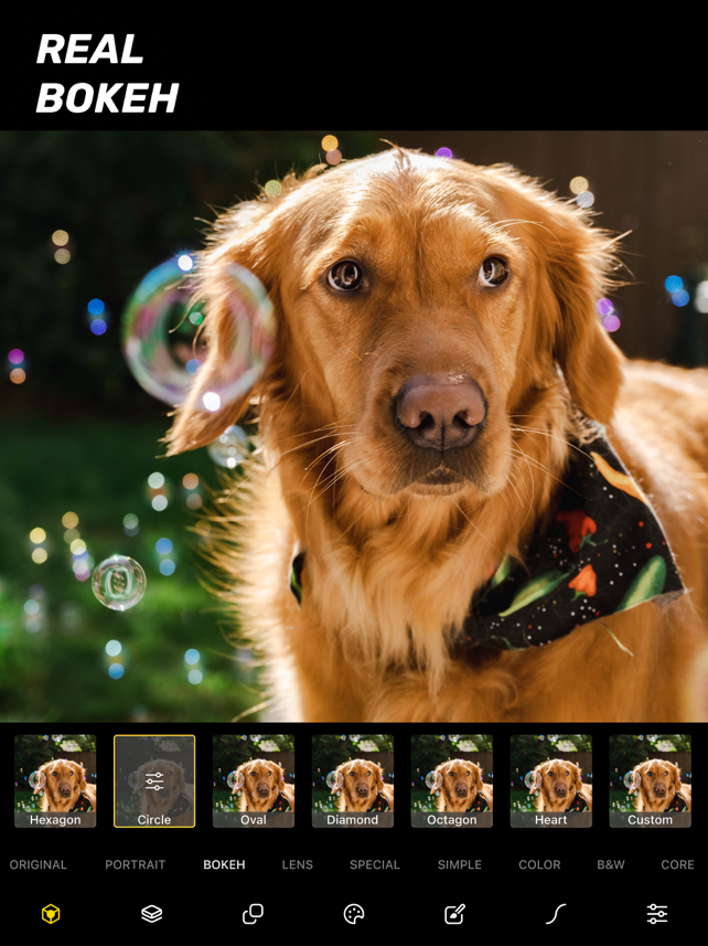 Phocus: DSLR Portrait Camera Screenshot