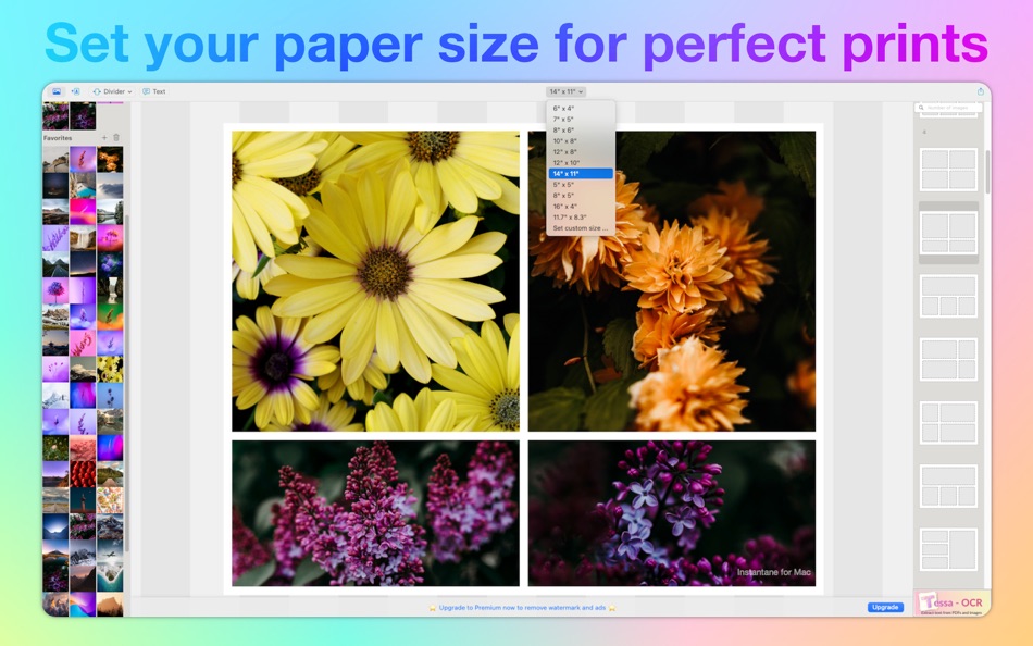 #4. Collage Maker - Instantane (macOS) 由: Abdulqadir Rashik