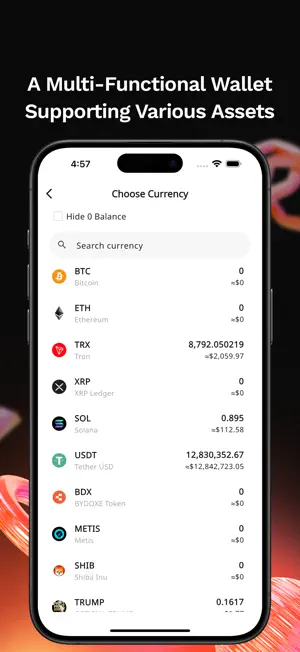 BYDOXE screenshot 2