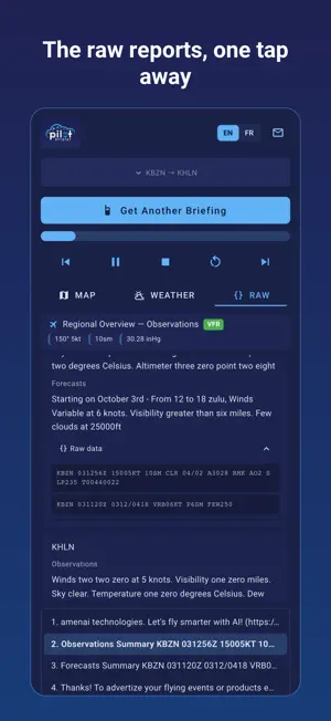 Pilot-Briefer screenshot 4