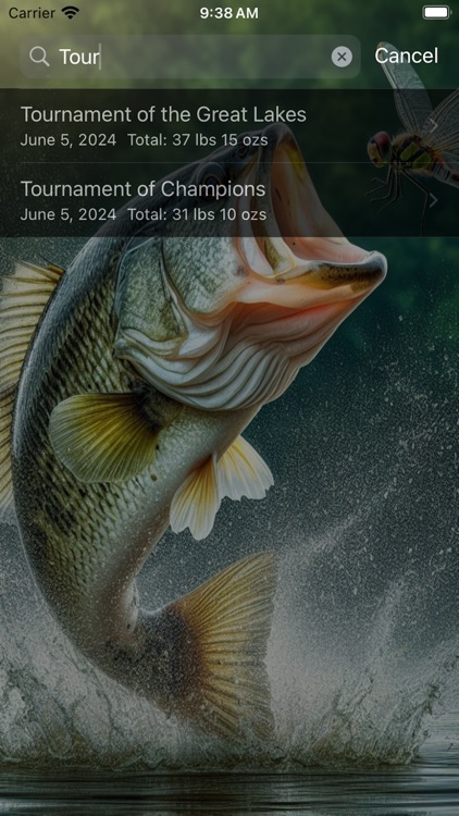 Tournament Weight Calculator