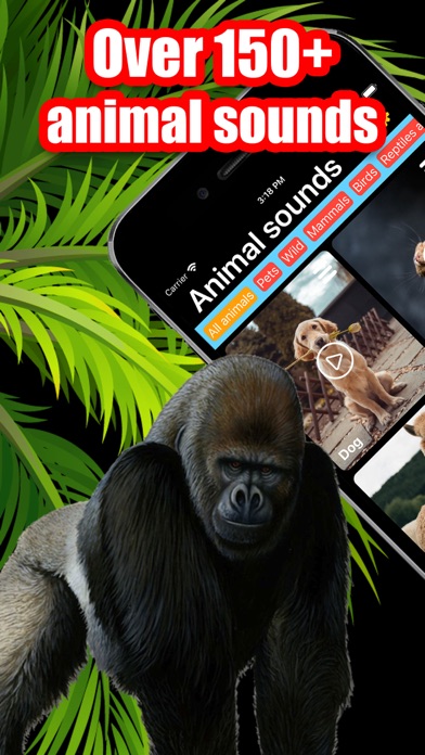 Screenshot #1 pour Animal Sounds and Ringtones
