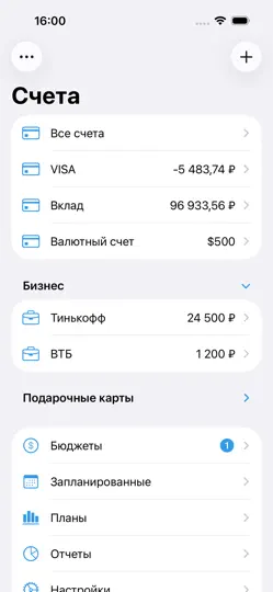 Скриншот Debit & Credit на iPhone 1