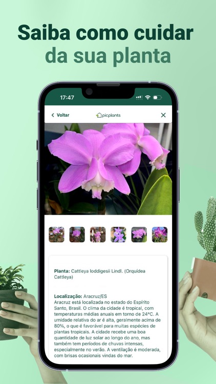 Picplants screenshot-4