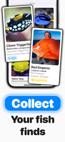 Fish Verify ° screenshot