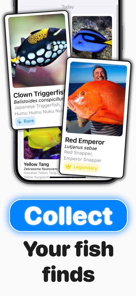 Fish Verify ° - Reference App | MWM
