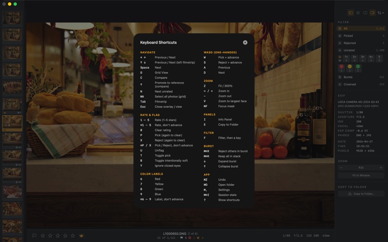 Palomino screenshot