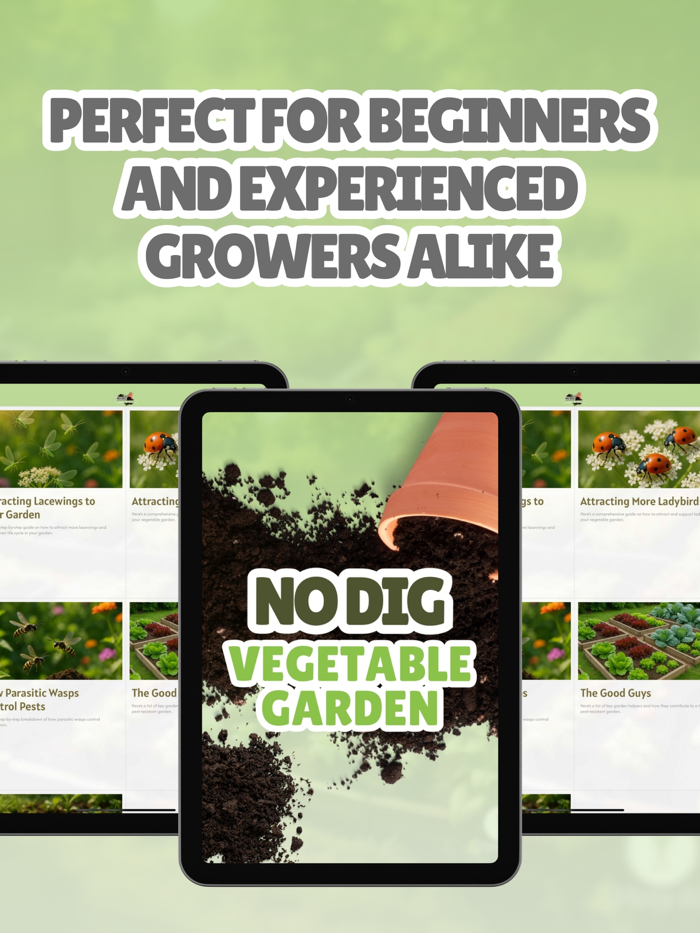 No Dig Vegetable Garden