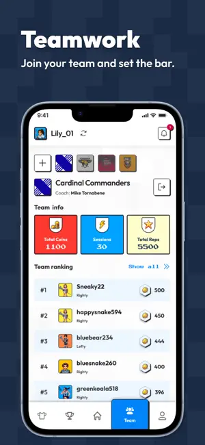Workplay Lacrosse screenshot 4