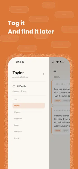 Seedemo - Songwriting Memo screenshot 3