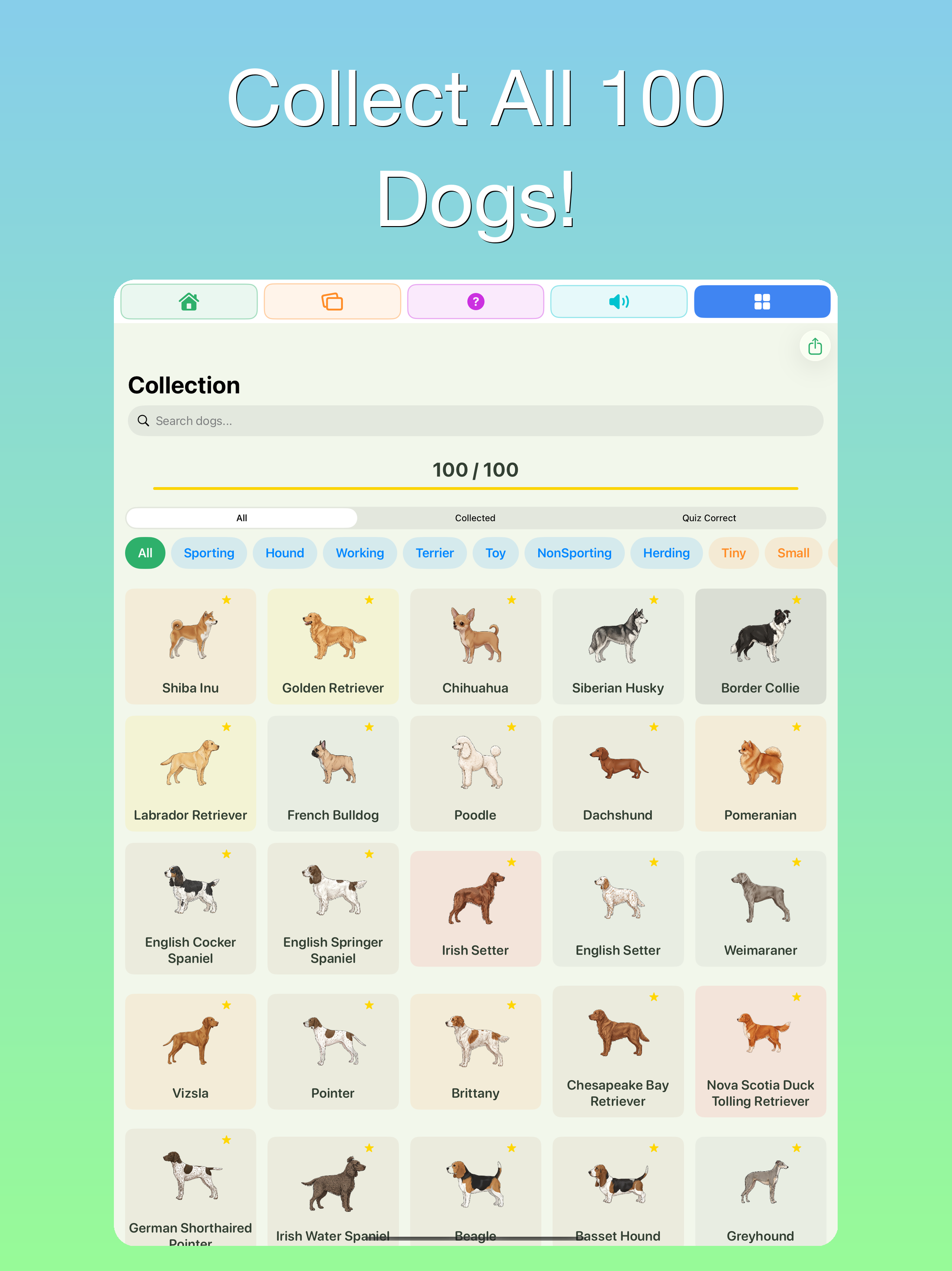 100 Dogs: Kids Encyclopedia