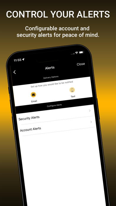 Central State Business Banking Screenshot