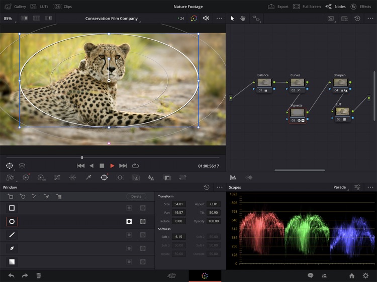 DaVinci Resolve for iPad screenshot-4