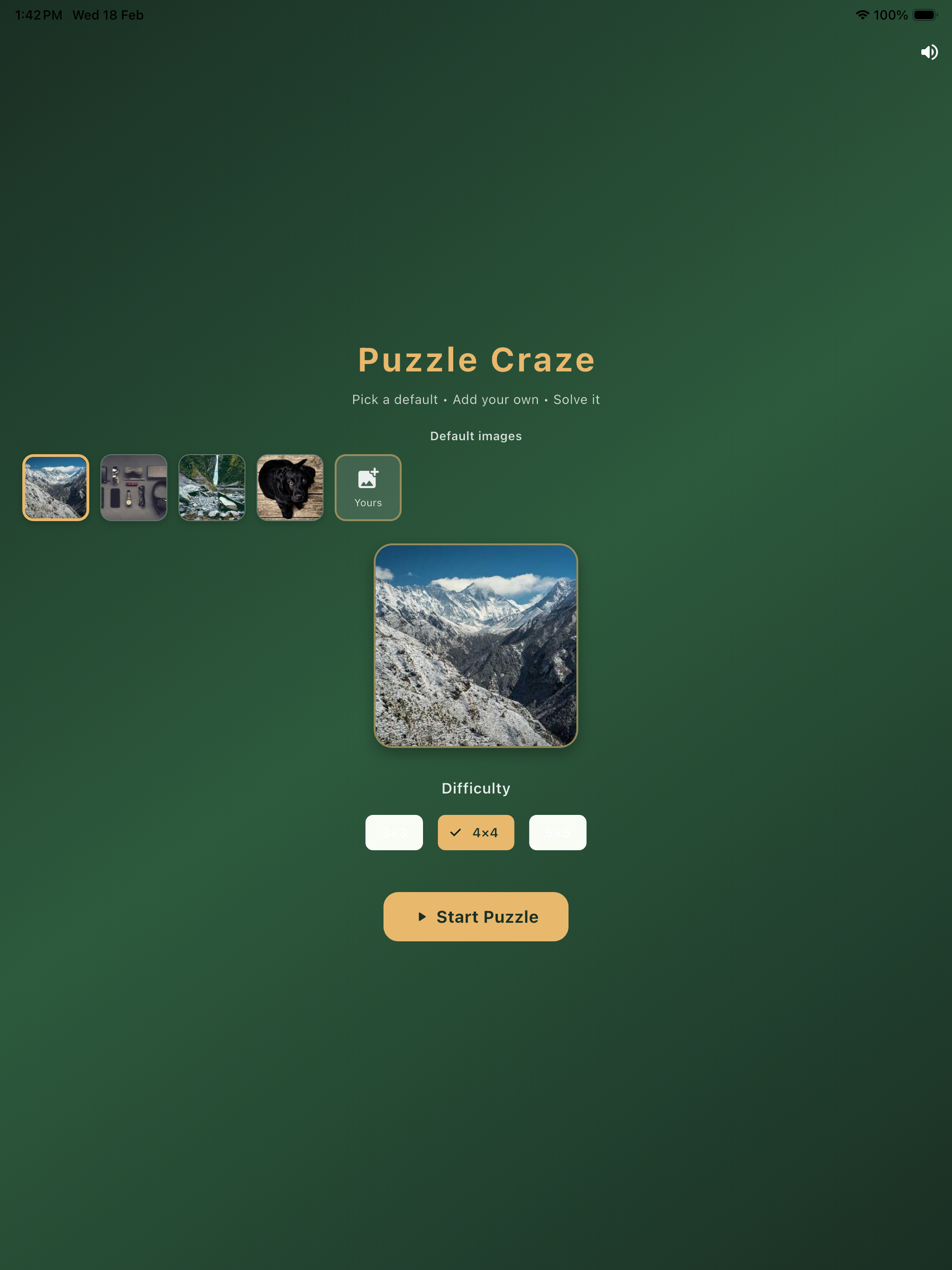 Puzzle Craze