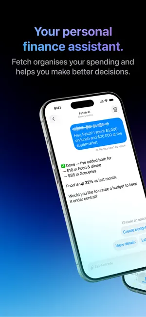 Fetch - Finance Assistant screenshot 1