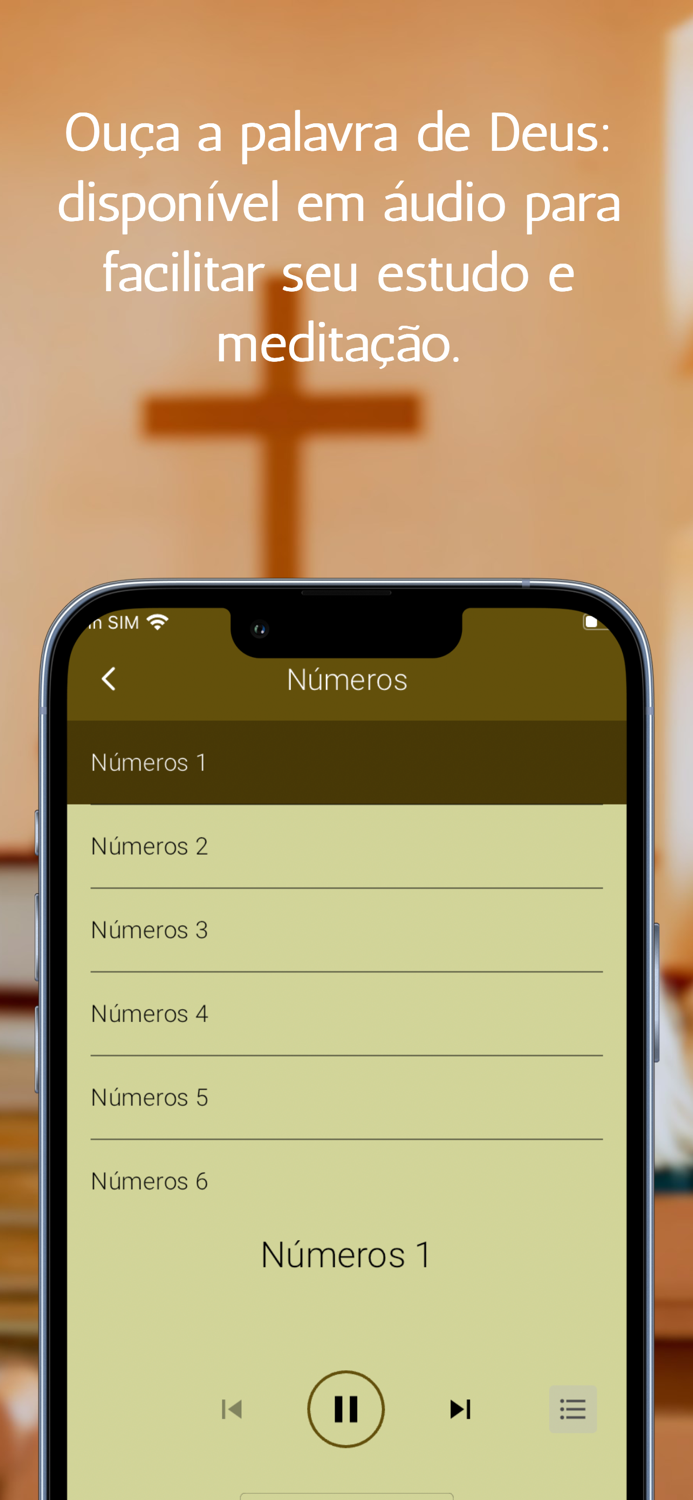 Bíblia Nova Almeida Atualizada