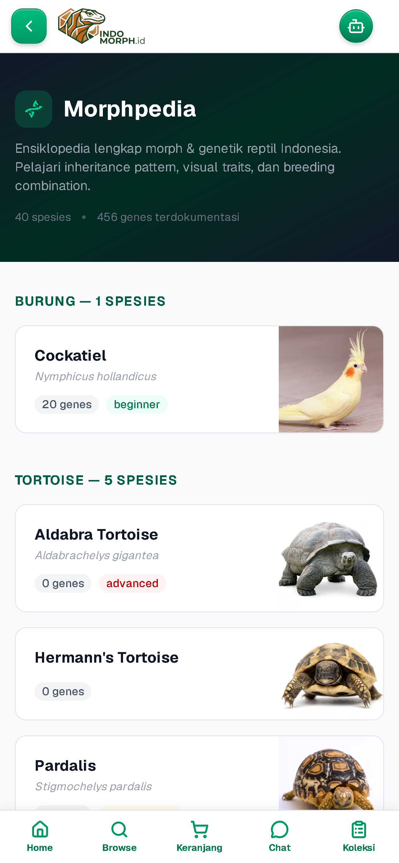 Indomorph screenshot 5