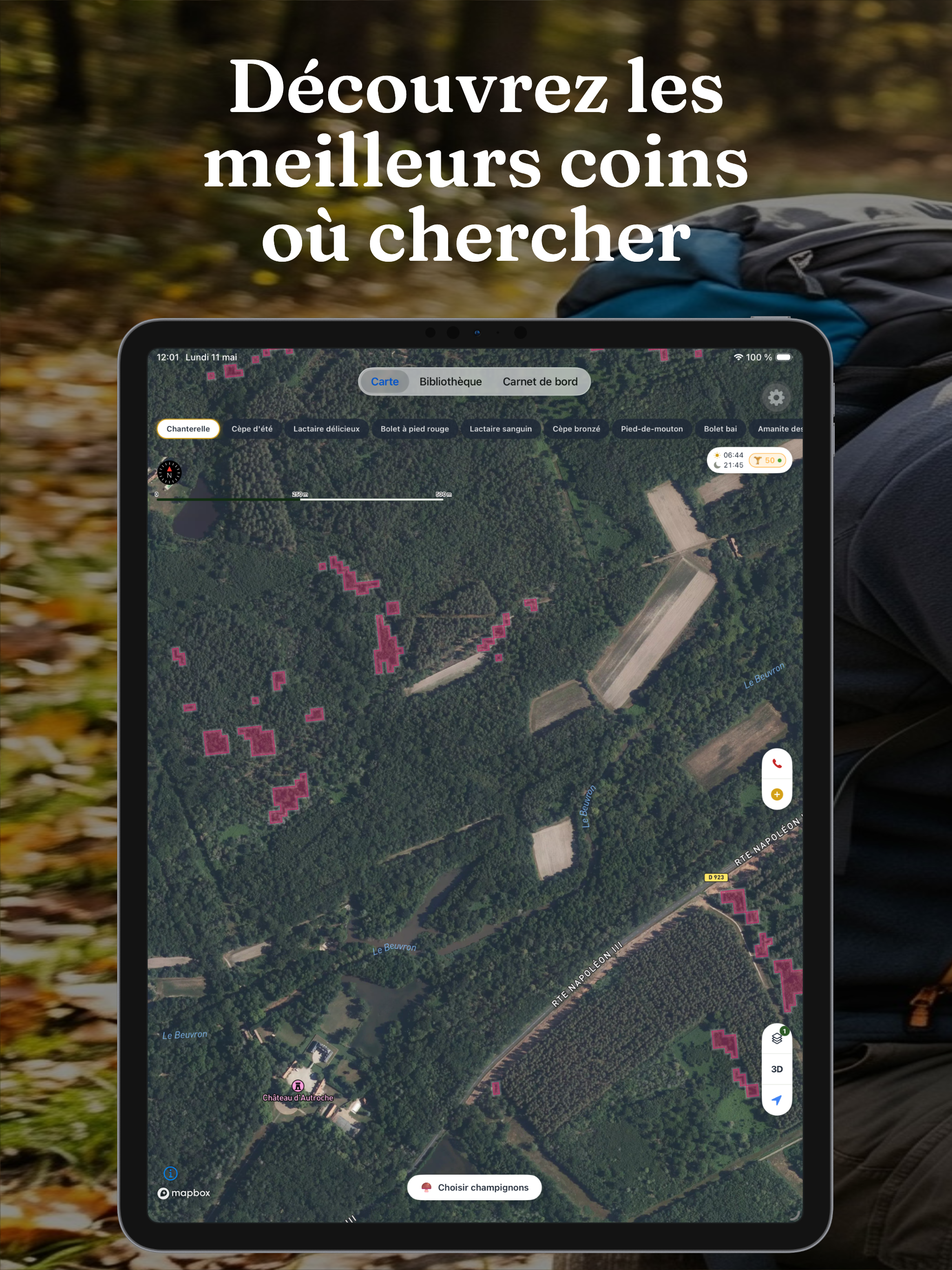Champi · Carte Champignons screenshot 8