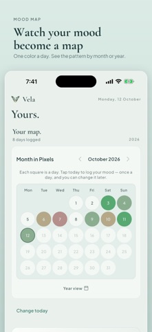 Vela: ACT Skills & Values Screenshot 3 of 8