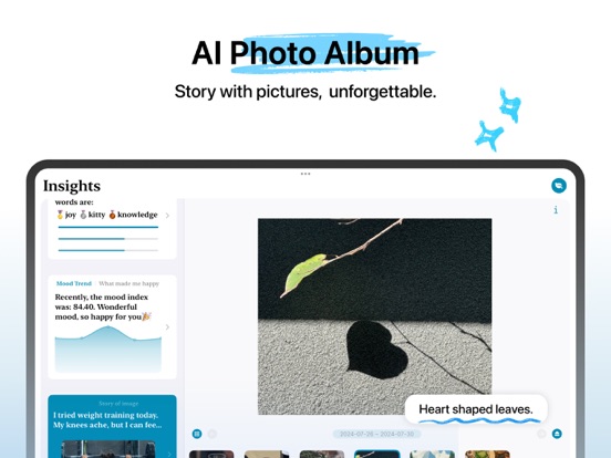 Lifelight: AI Journal & Memory iPad screenshot 10 - Lifestyle app