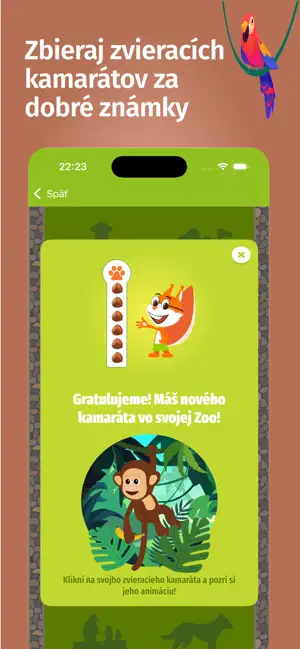 Slovenská gramatika screenshot 3
