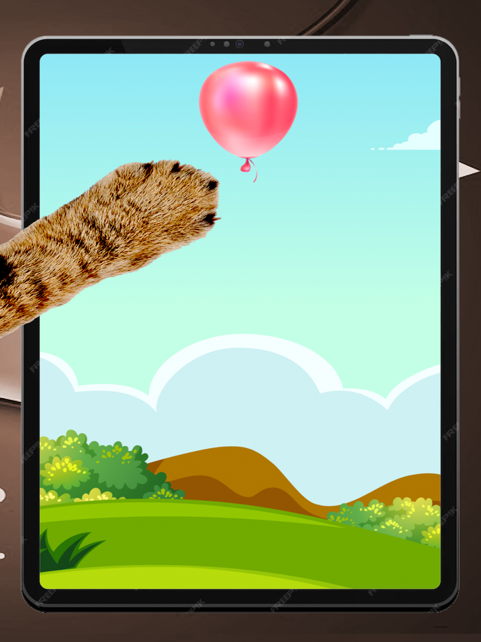 Games For Cat - Cat Games