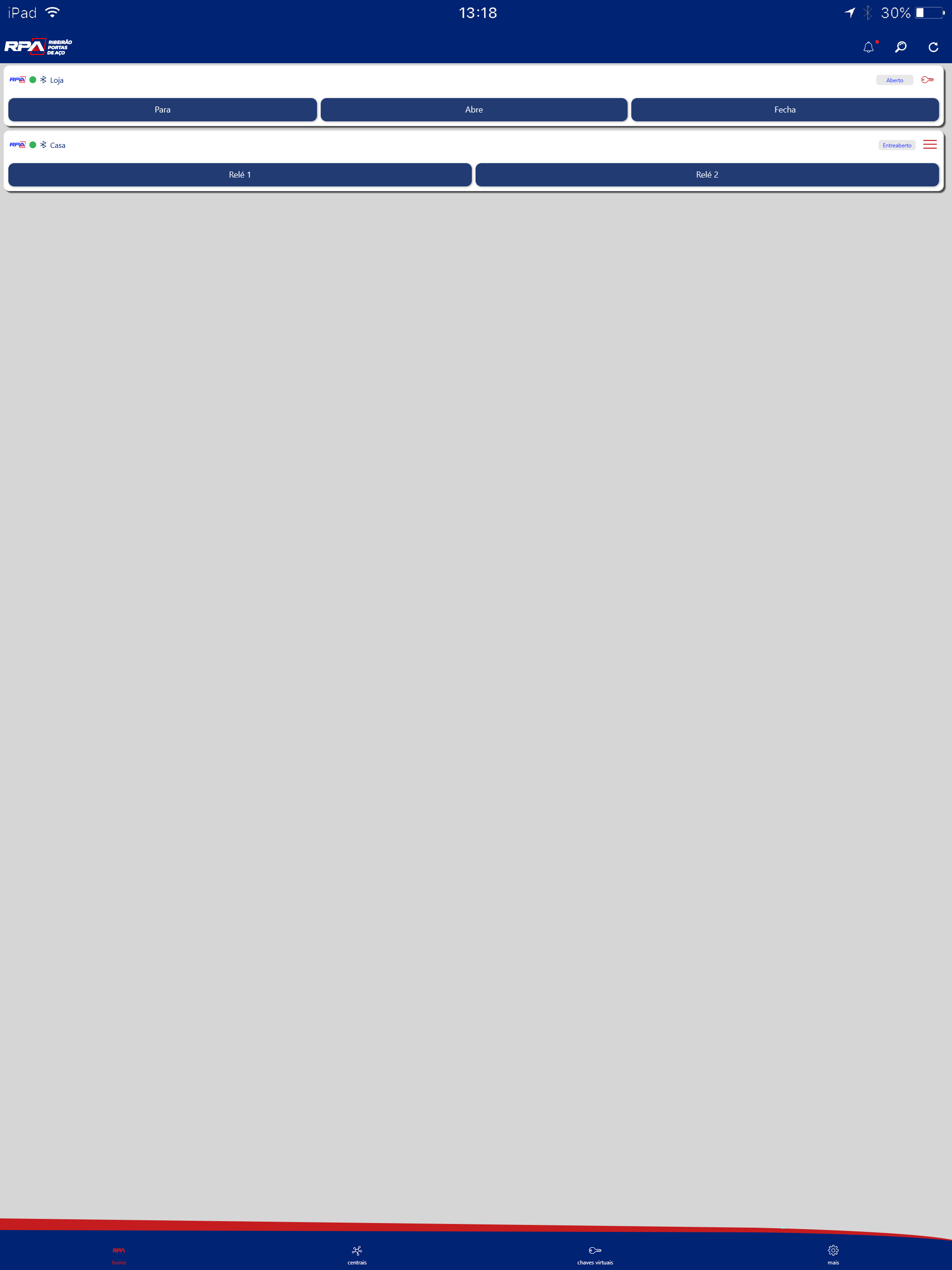 RPA screenshot 4