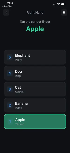 NeuroAnchorX screenshot 4