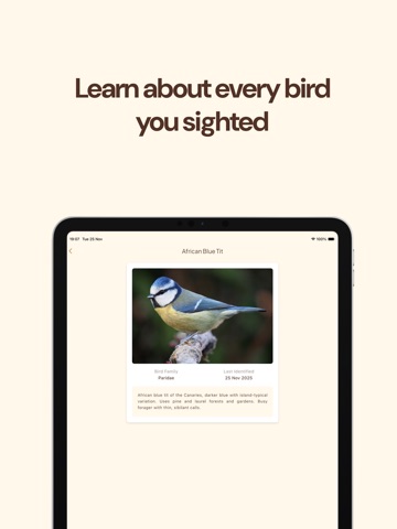 Birder - Bird Identifier Game iPad screenshot