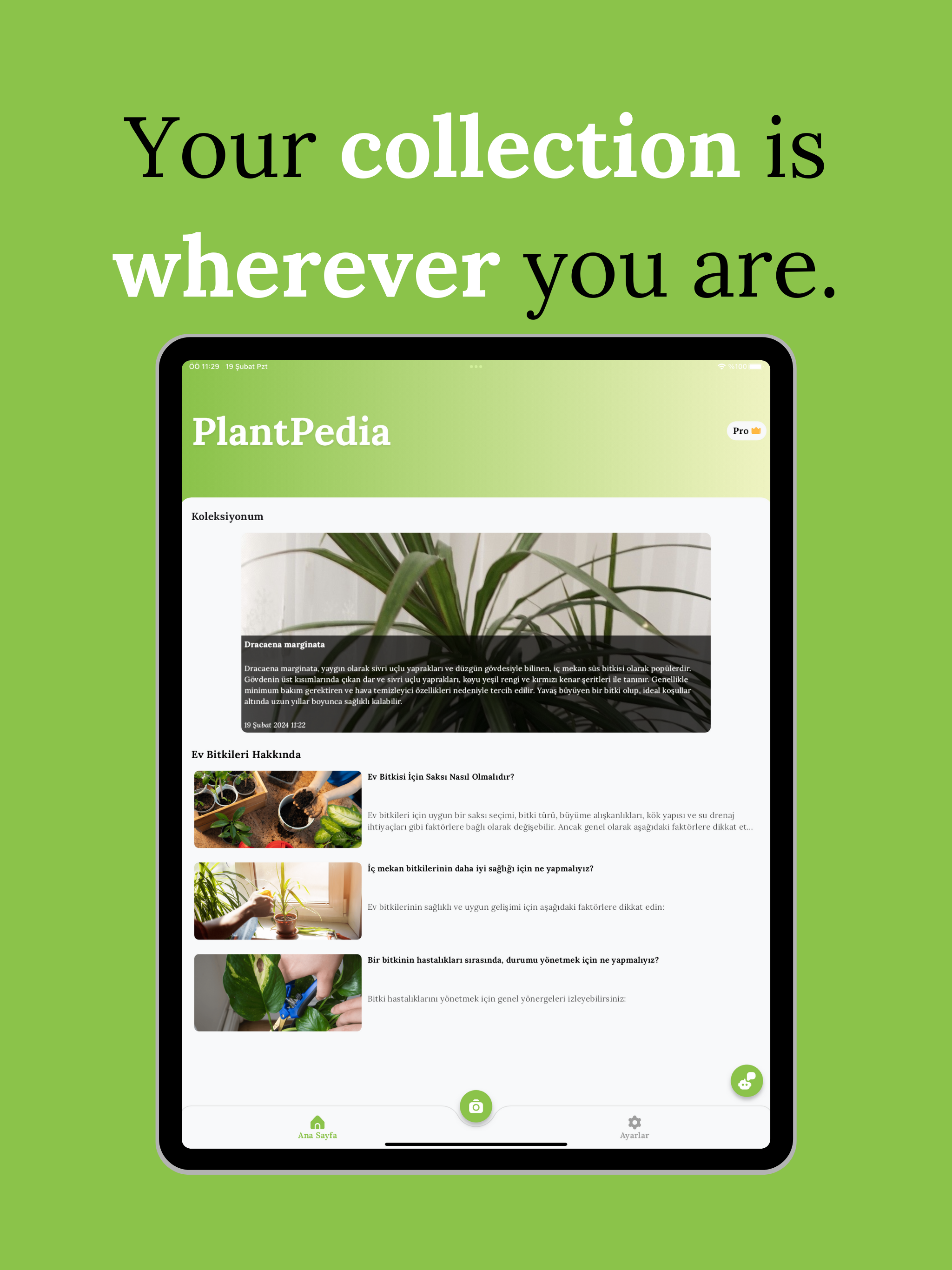 PlantPedia - Identi de Plantas