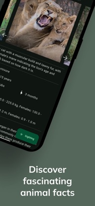 Bushwak: African safari guide screenshot 3