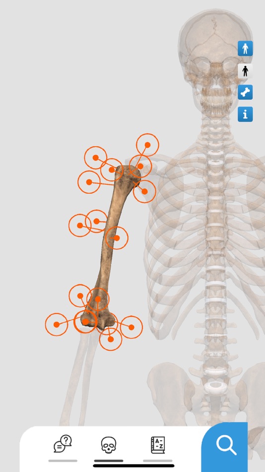 #2. Anatomy2Me (iOS) 由: A2ME