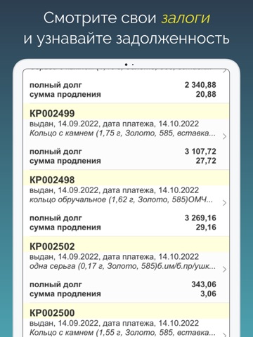 App screenshot