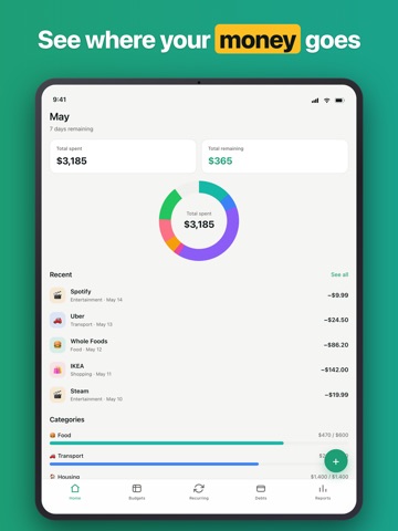 Penno — Budget & Debt Tracker iPad screenshot