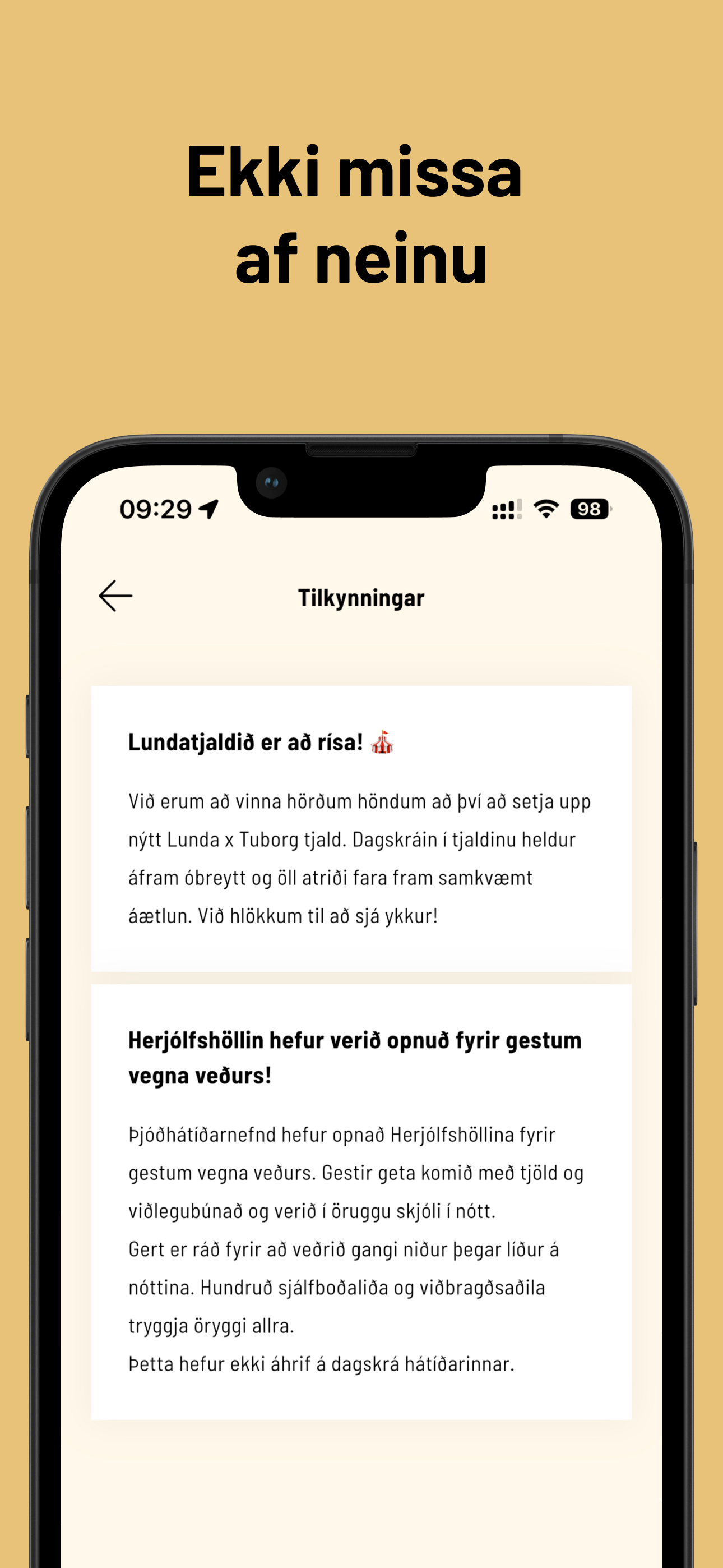 Dalurinn screenshot 5