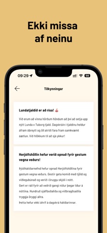 Dalurinn screenshot