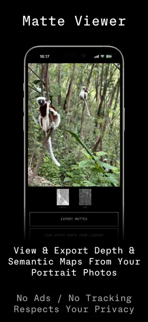 Matte Viewer screenshot 1