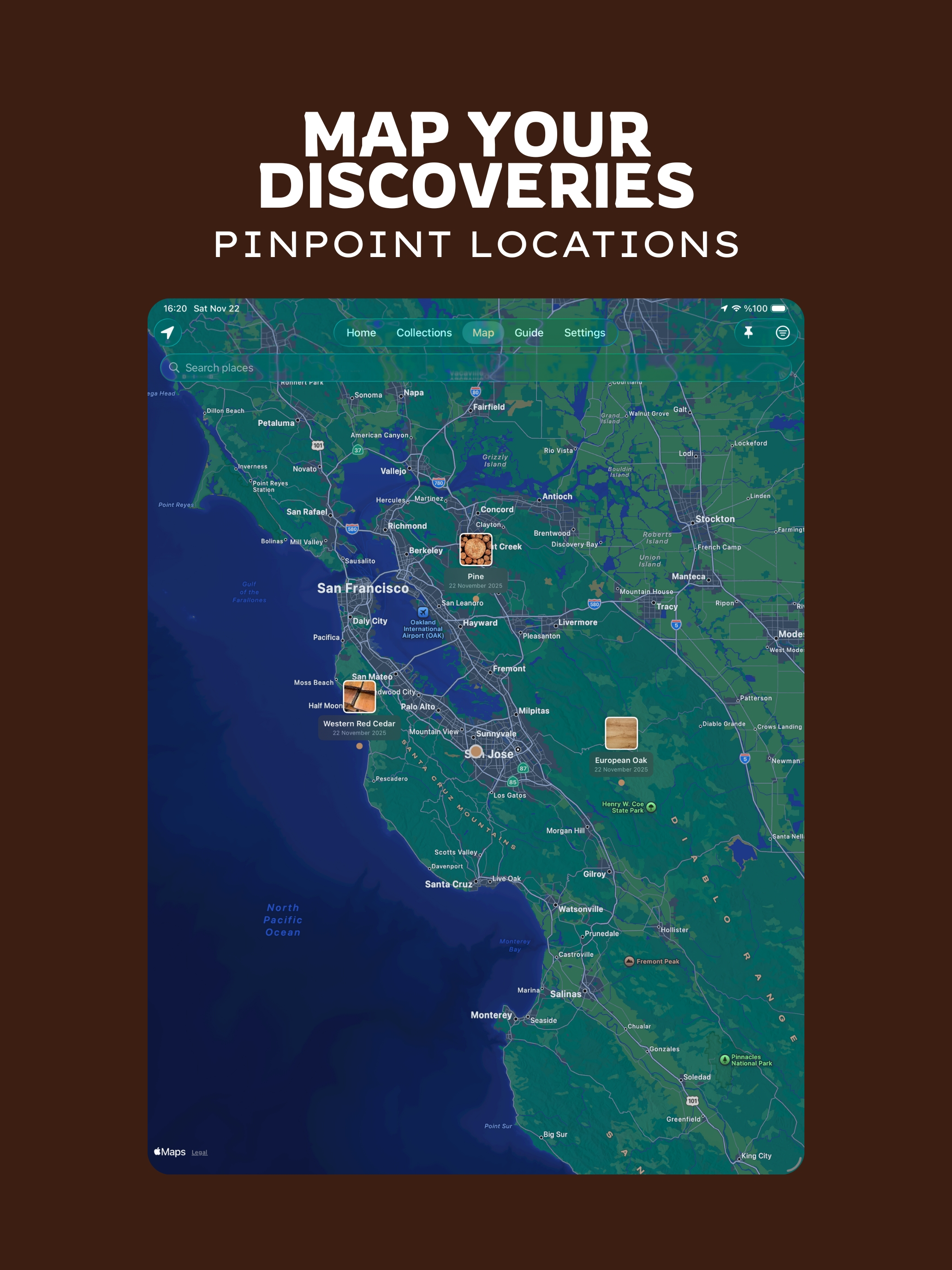 Wood Identifier - TimberThese screenshot 11