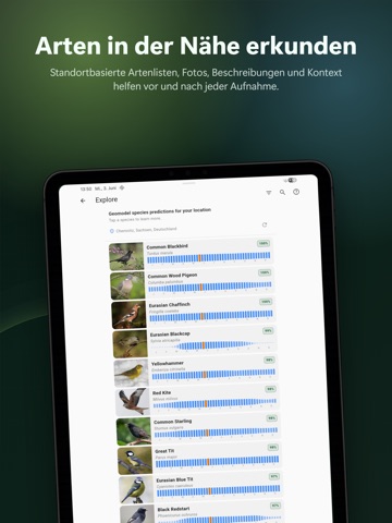 BirdNET Live iPad screenshot 2
