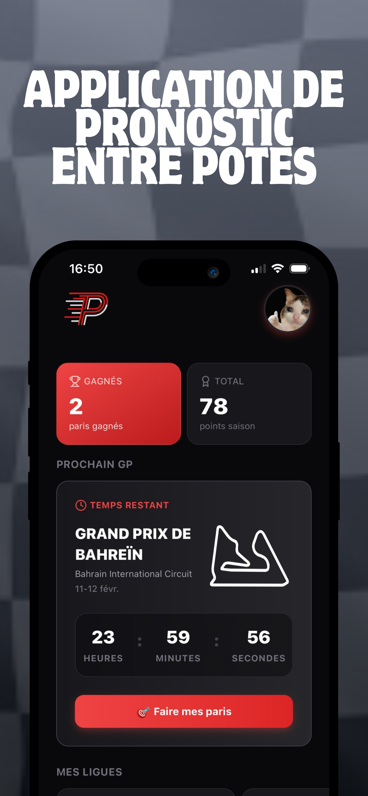 Pitprono screenshot 3