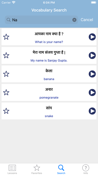 Learn Hindi Screenshot