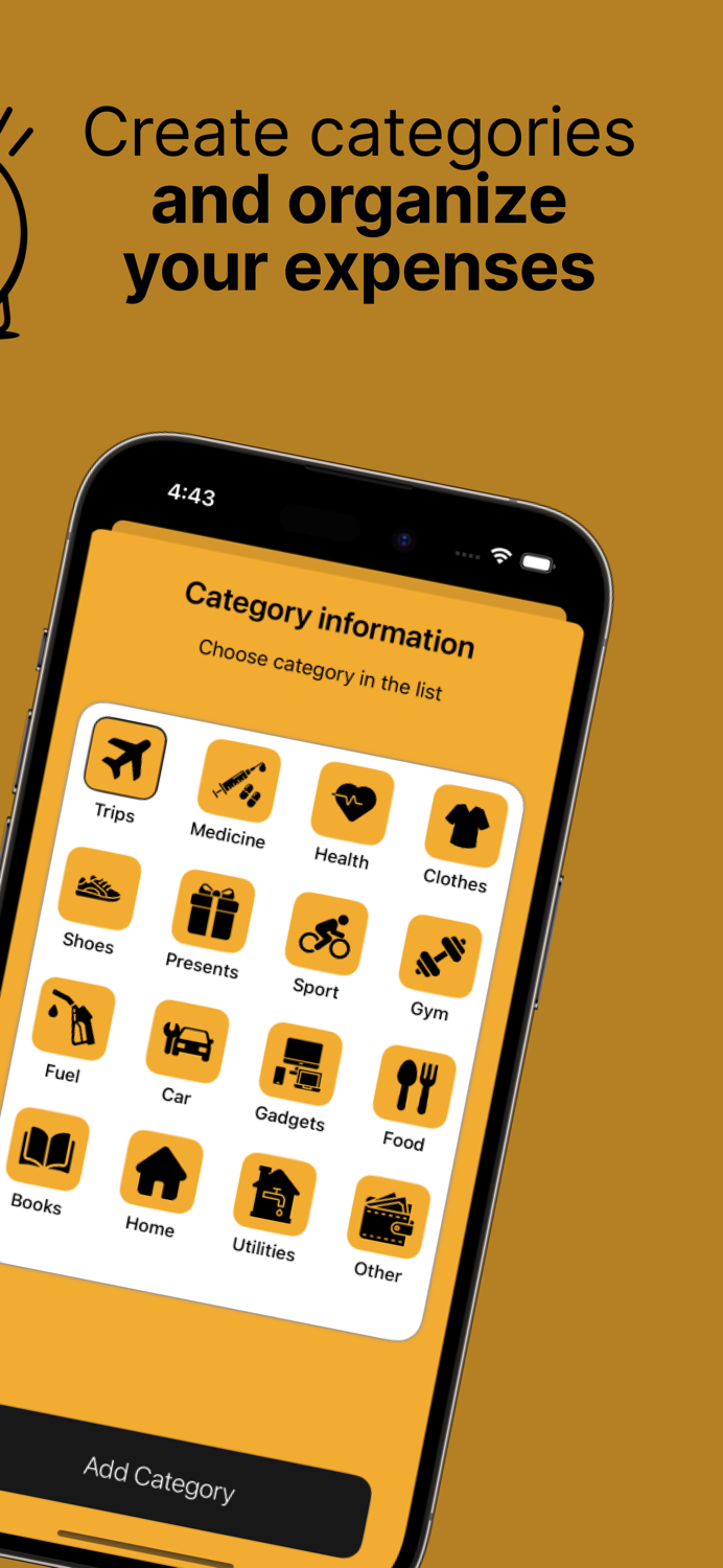 CashFlow Tracker Pro