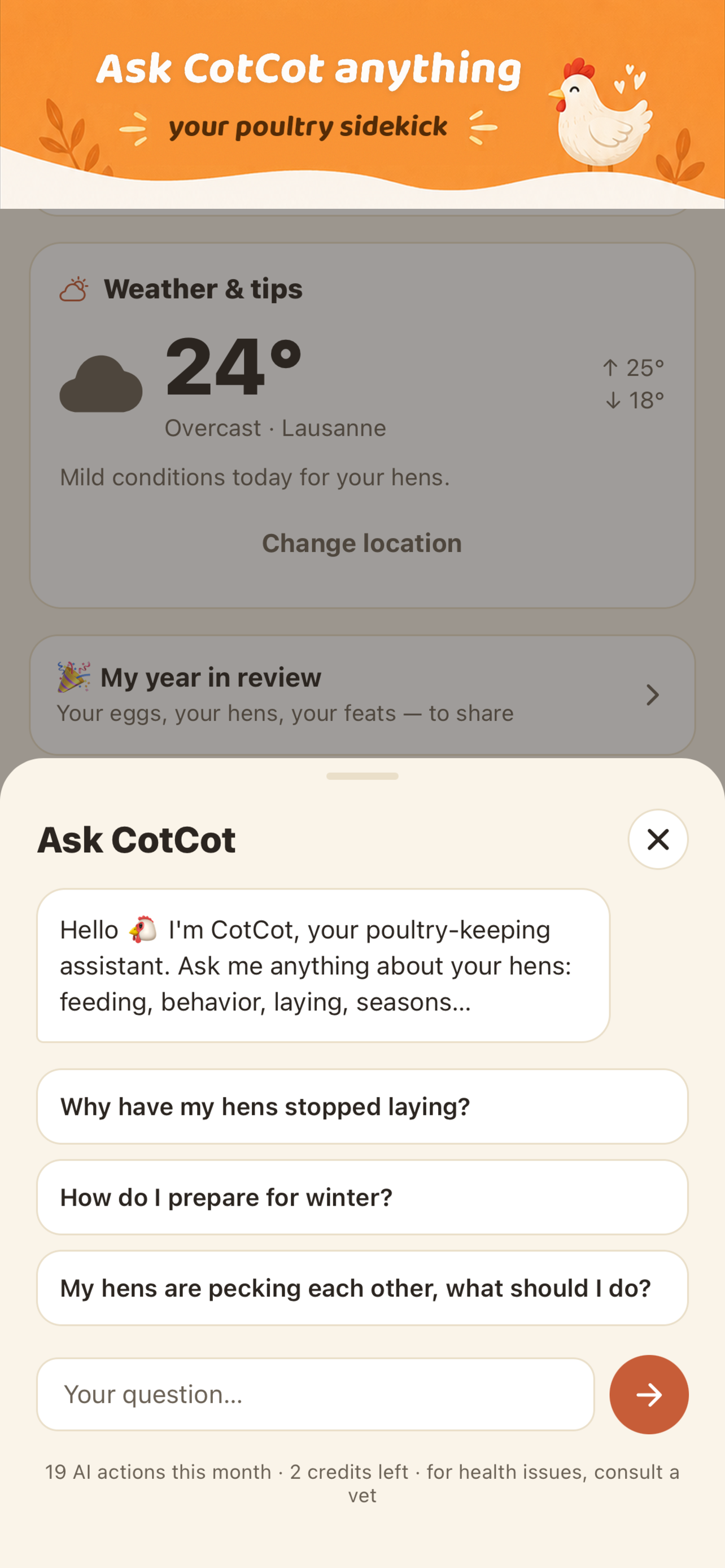 CotCot - My Chicken Flock screenshot 10
