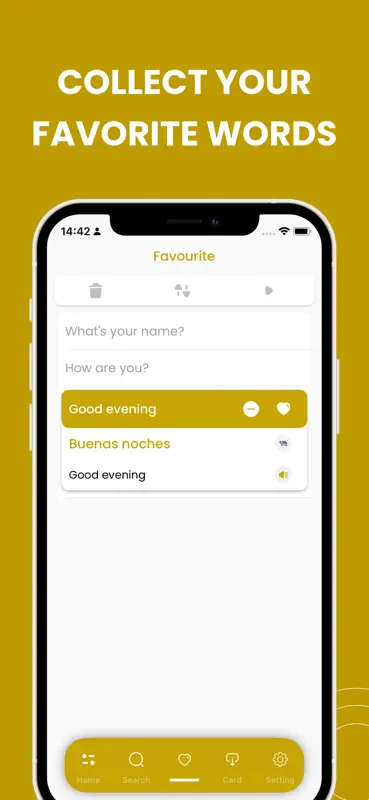 Learn Spanish-Spain Phrasebook screenshot 4 of 4