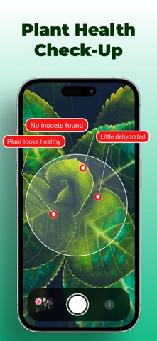 Plant Identifier: Plantico screenshot 8