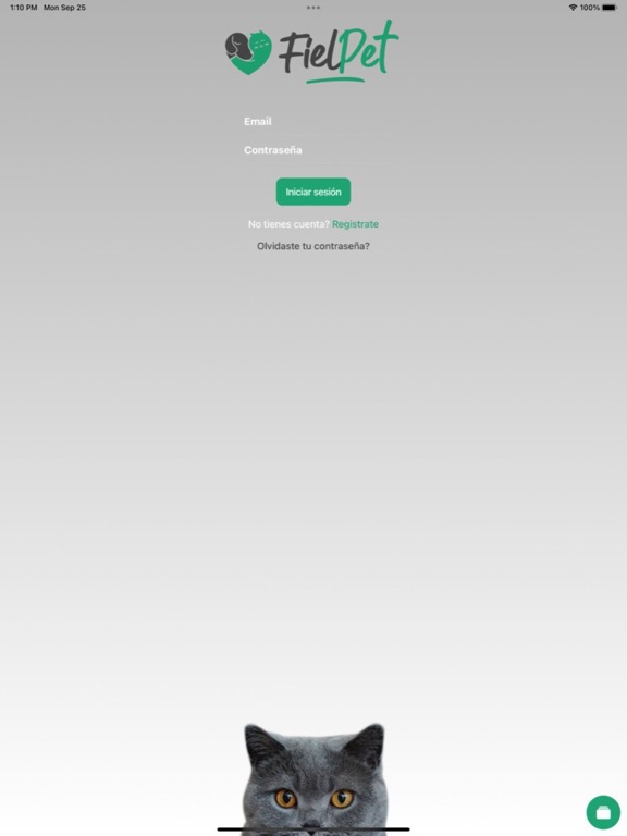 Screenshot #5 pour FielPet