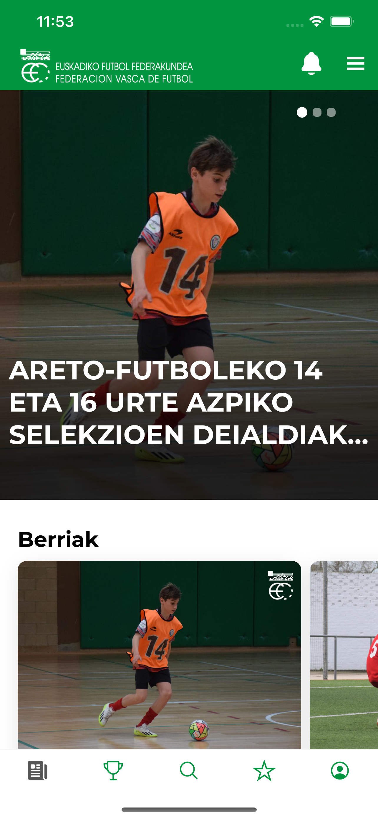 EFF-FVF