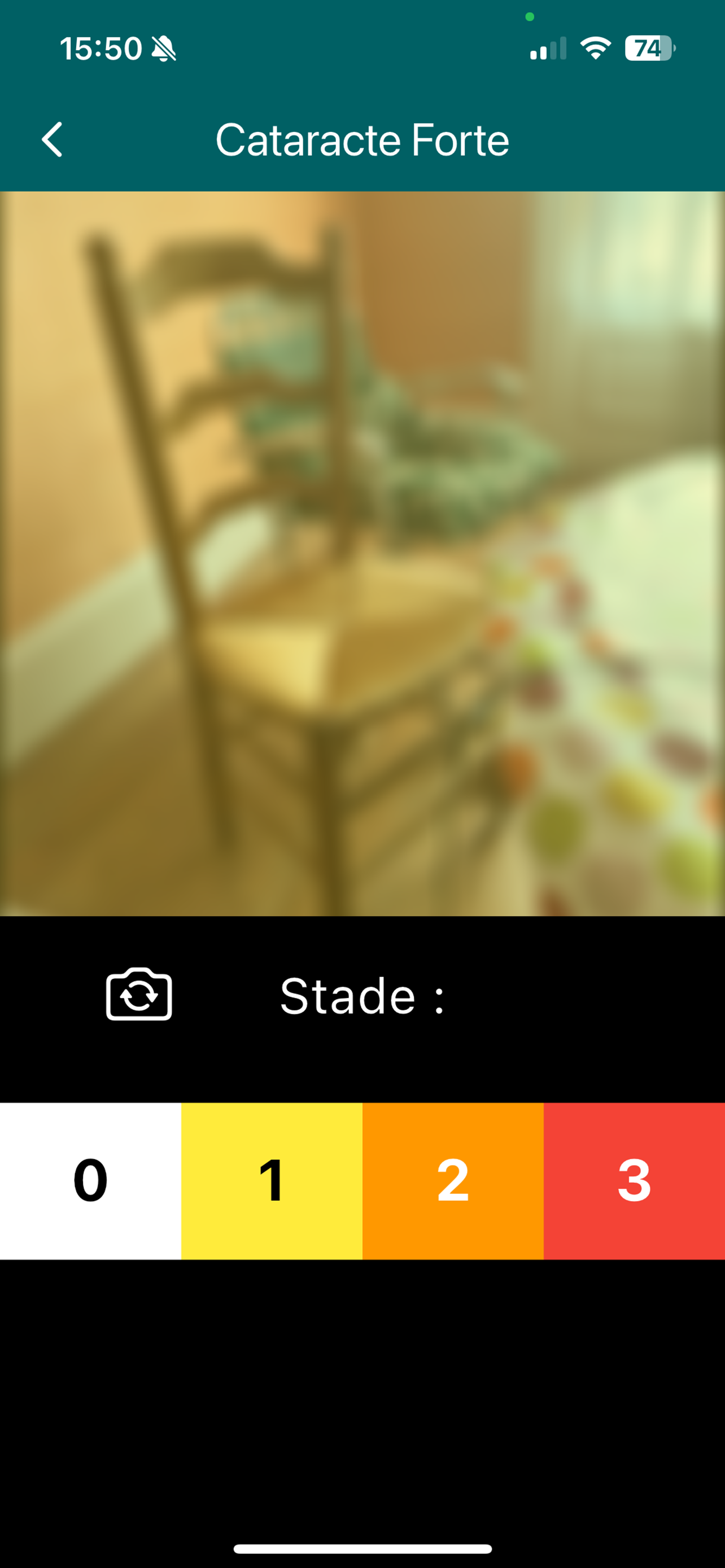 Vision Et Chutes screenshot 4