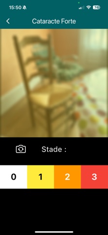 Vision Et Chutes Screenshot 4 of 4
